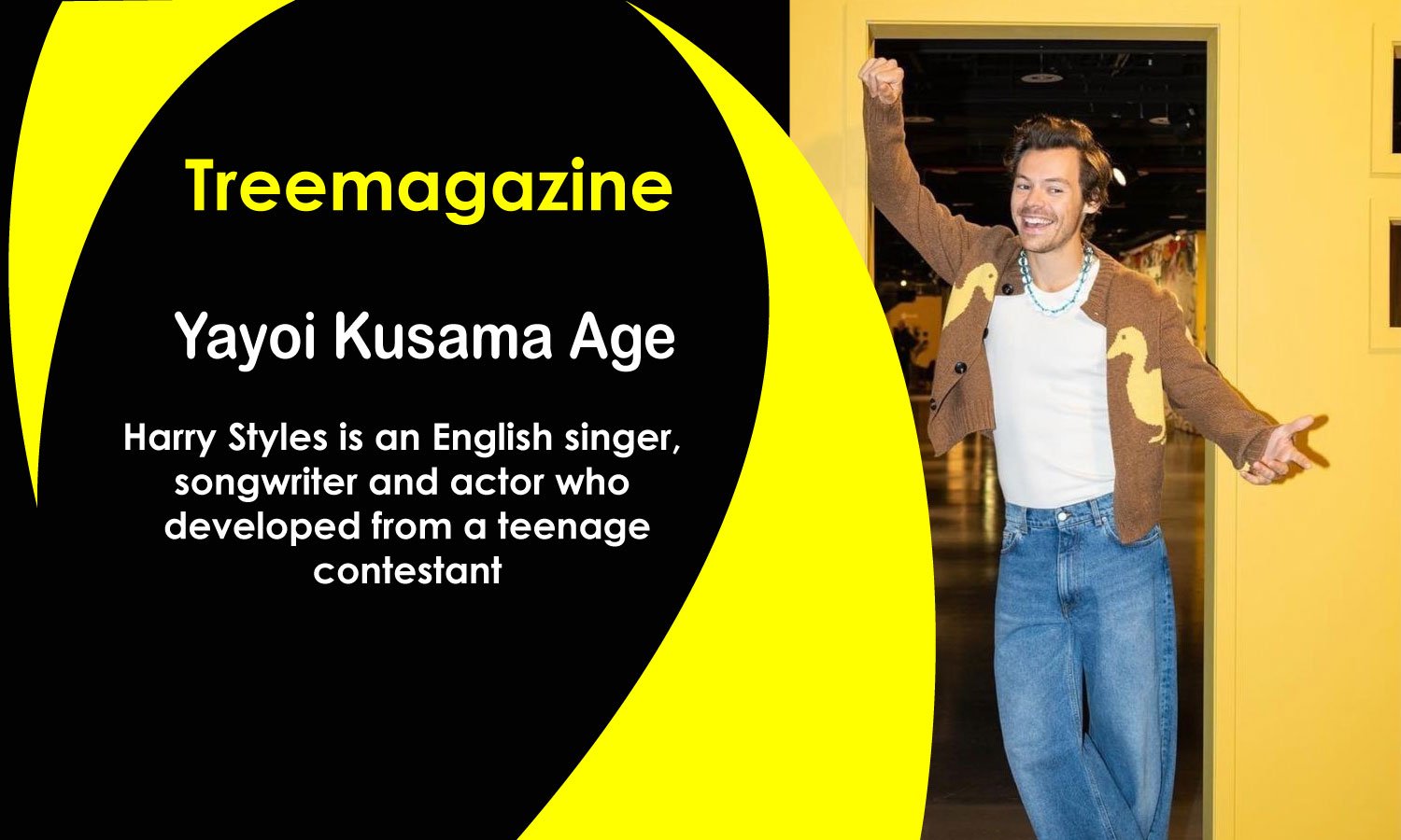 Harry Styles Age