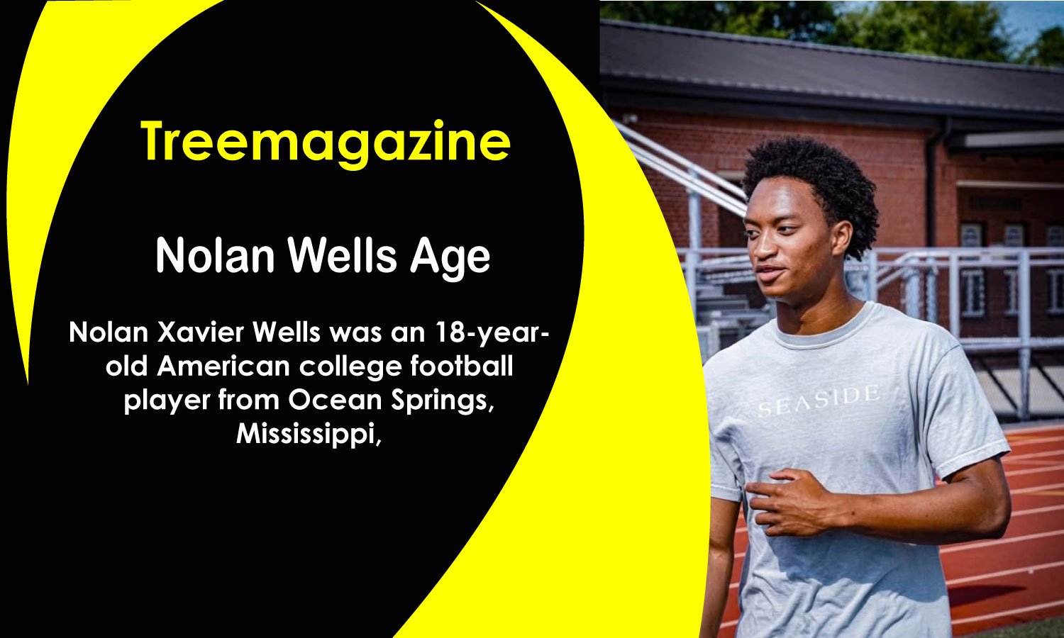 Nolan Wells Age