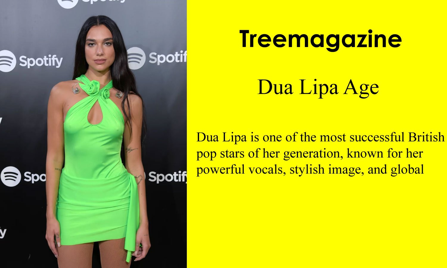 Dua Lipa Age