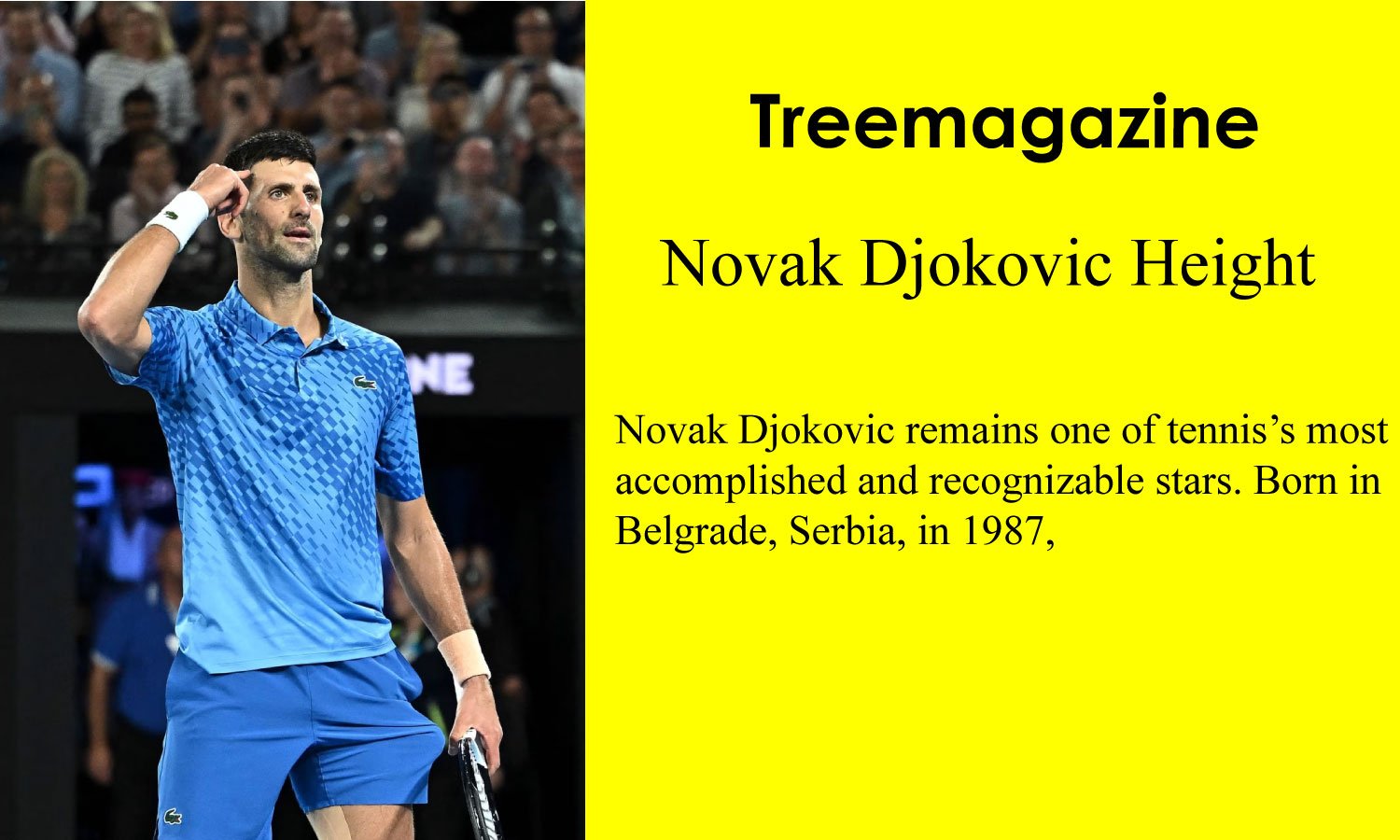 Novak Djokovic Height