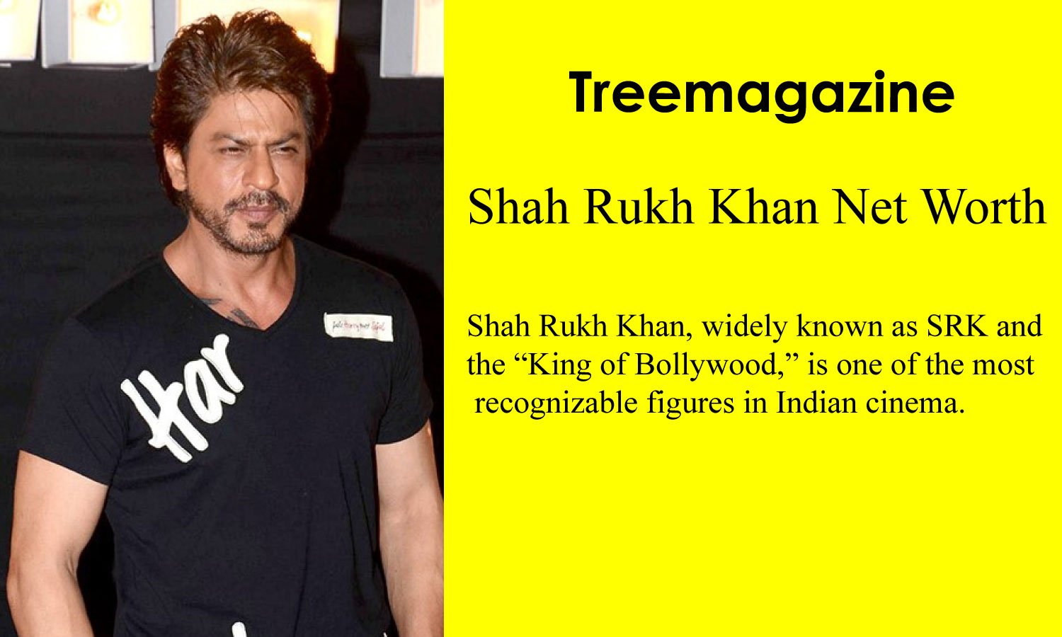 Shah Rukh Khan Net Worth