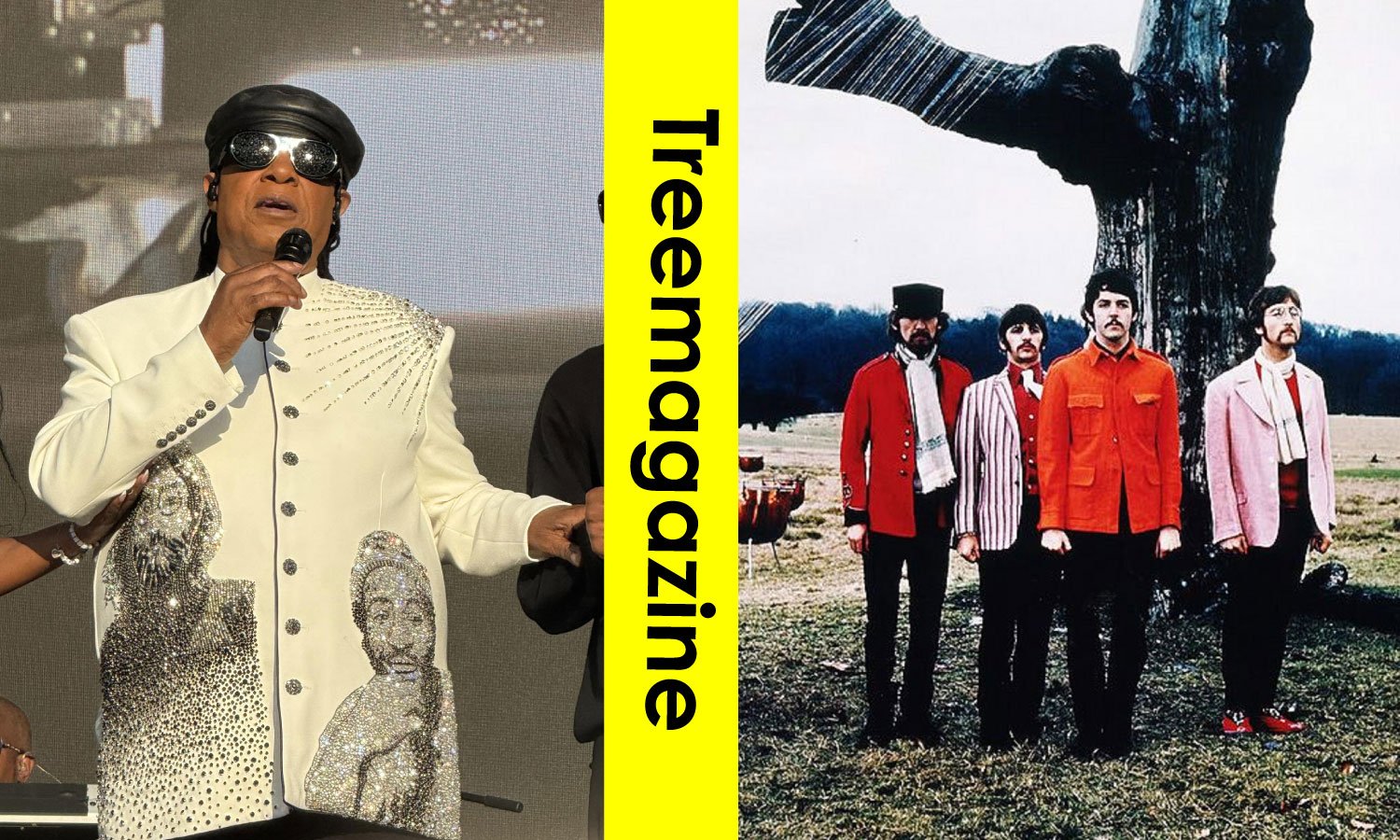 Stevie Wonder and The Beatles